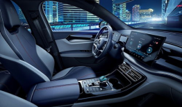 国产精品300,匠心独运，品质卓越的匠心之作